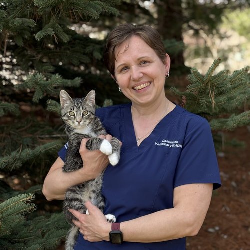 Dr. Kristy J. Langhoff